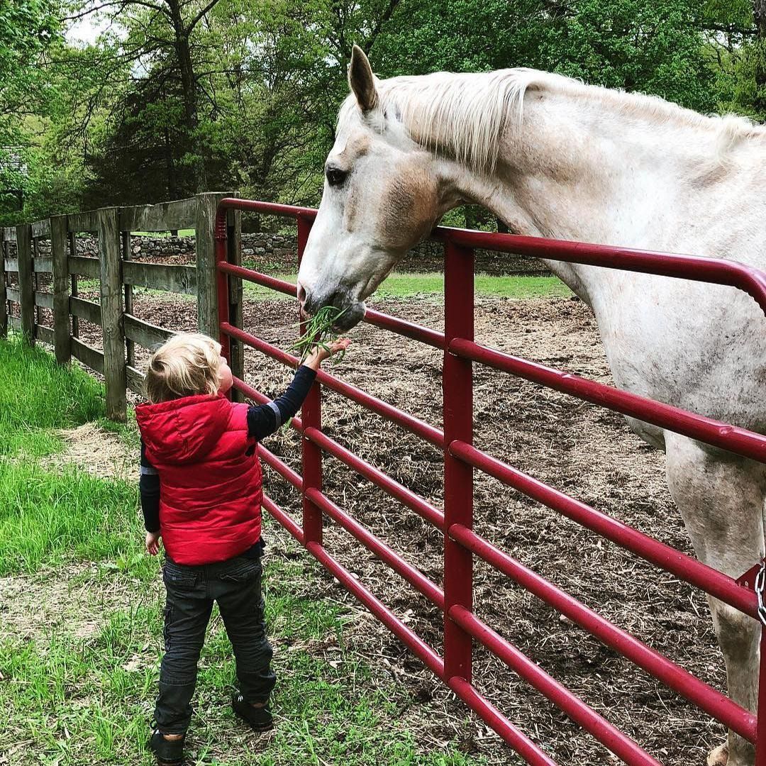 Alejandra Silva shares a picture of her son with a horse