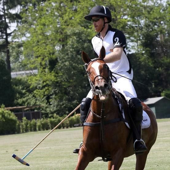 principe harry polo