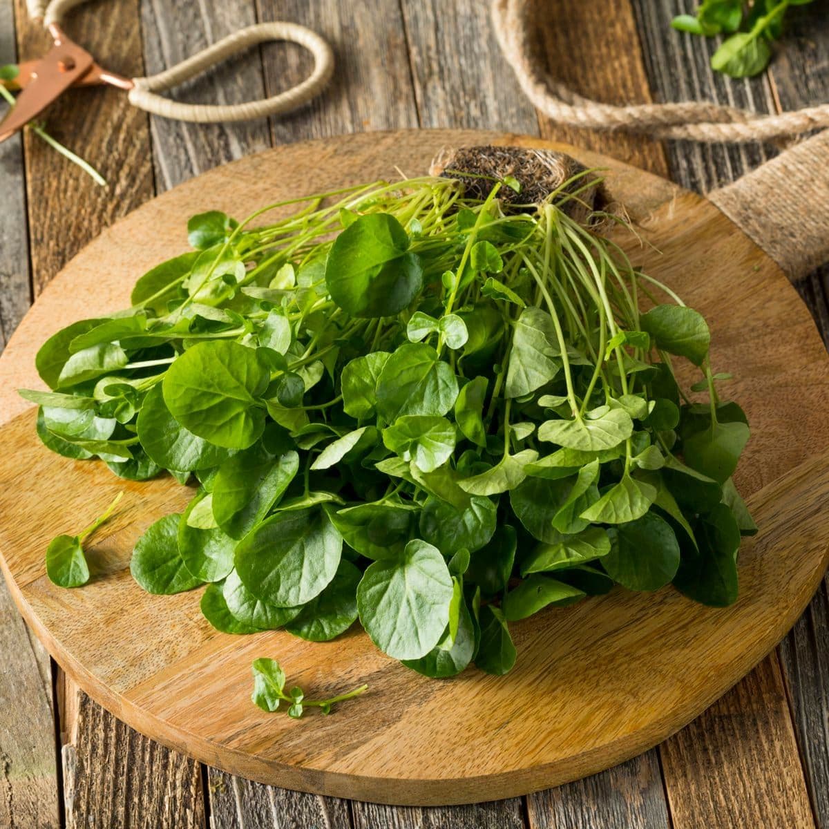 Watercress to care for skin