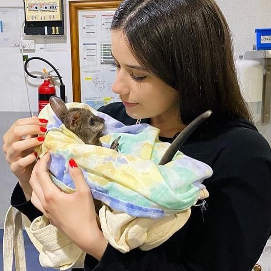 The actor's daughter got to hold a baby kangaroo during the family zoo outing