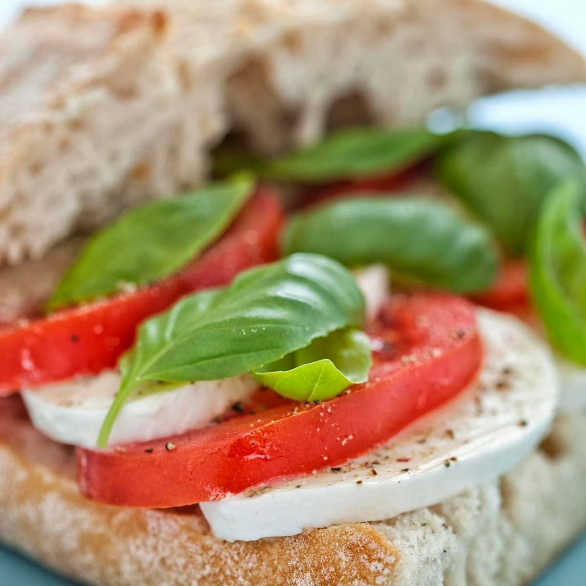 Caprese sandwich with ciabatta, tomato, basil and mozzarella