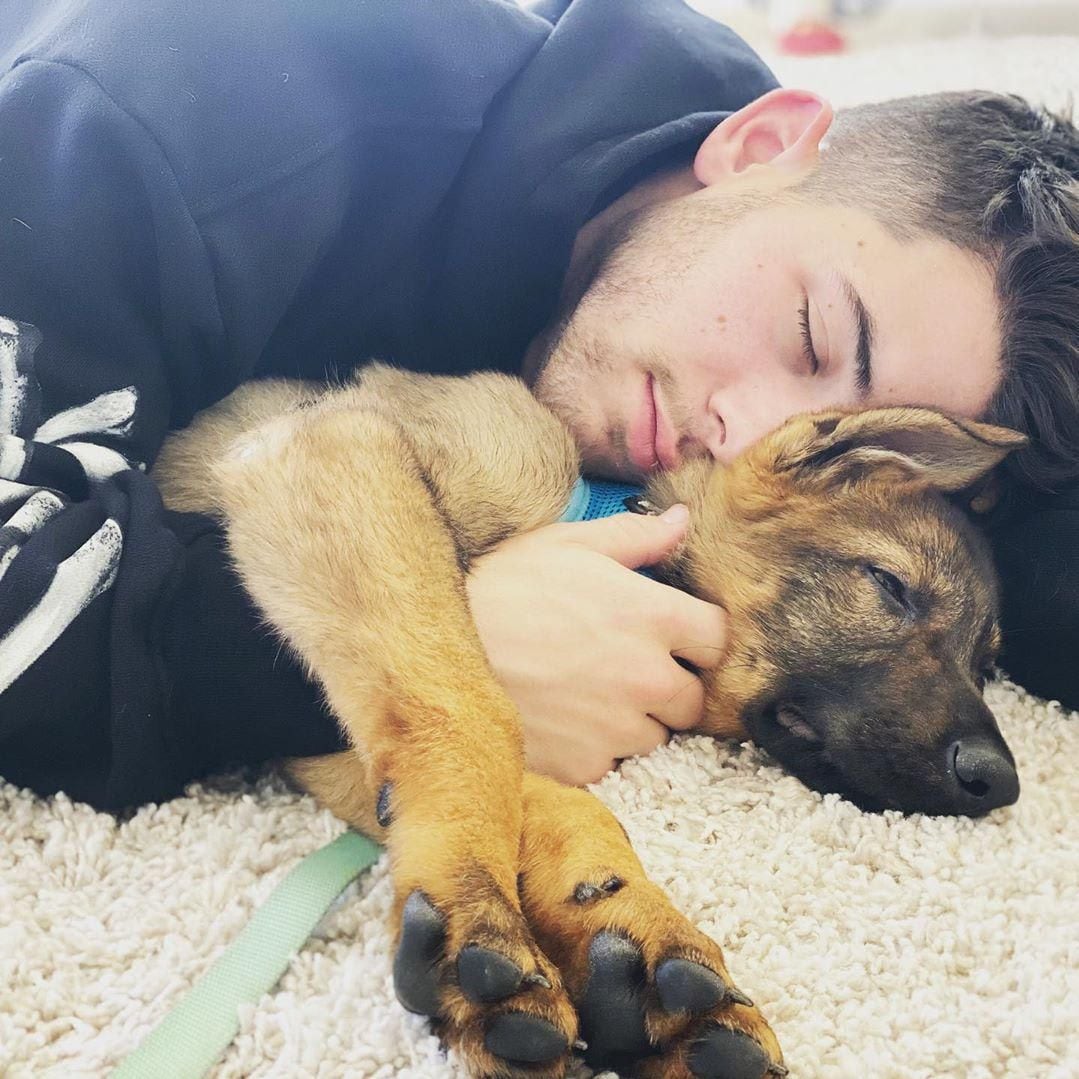 Nick Jonas, new puppy Gino