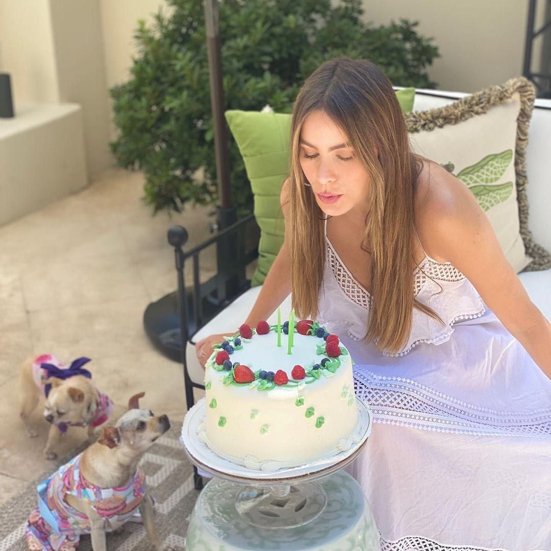 sofia vergara cake