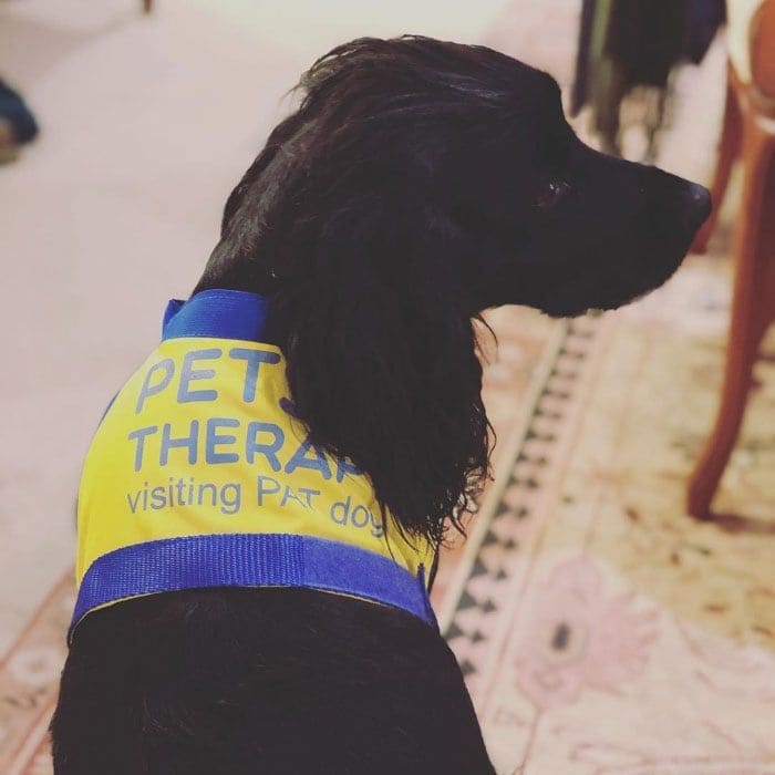 James Middleton, Ella therapy dog