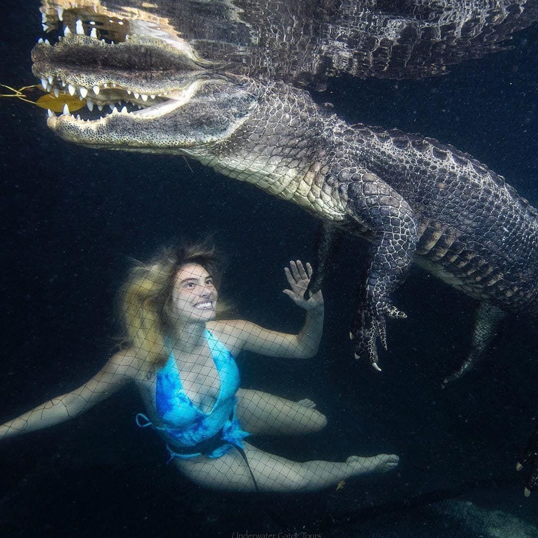 Lele Pons swims with alligators