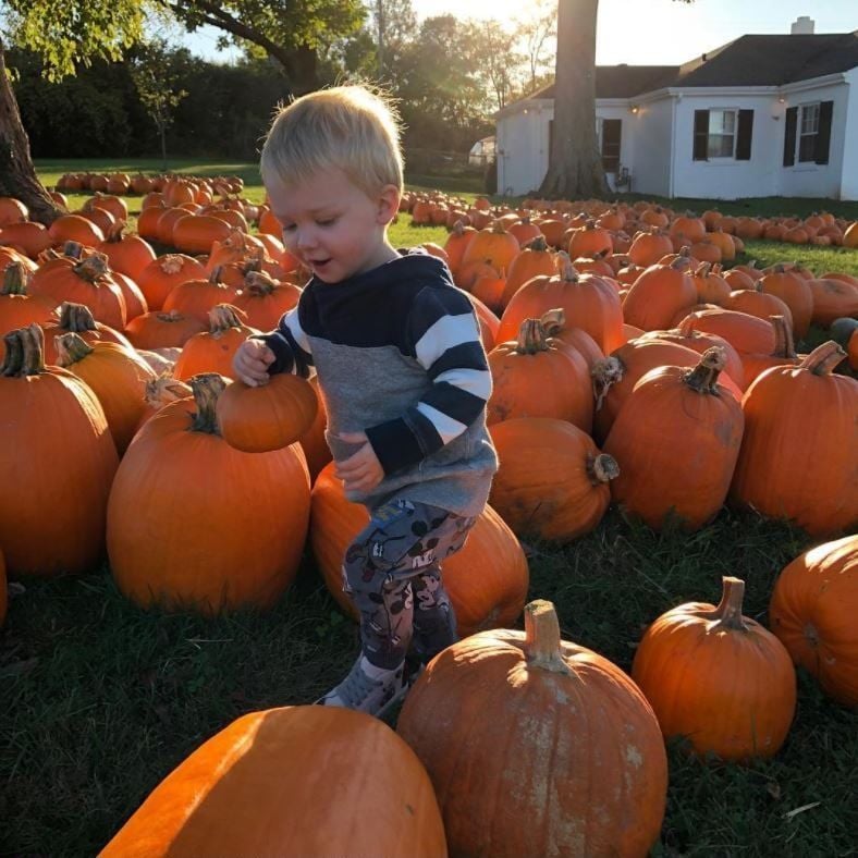Charles Kelley of Lady Antebellum's little boy Ward had quite the assortment of pumpkins during his trip ahead of Halloween. The almost-two year old held on tight to a miniature pumpkin while perusing the rest of the lot.
Photo: Instagram/@charleskelley