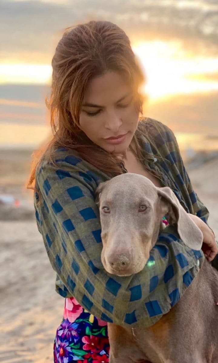 Eva Mendes adopts rescue dog