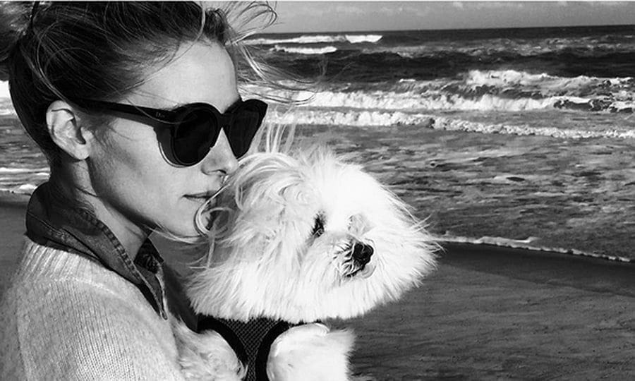 Oh-so-stylish Olivia Palermo finds the perfect chic match in her canine companion, Mr Butler, while vacationing in the Hamptons.
Photo: Instagram/@johanneshuebl