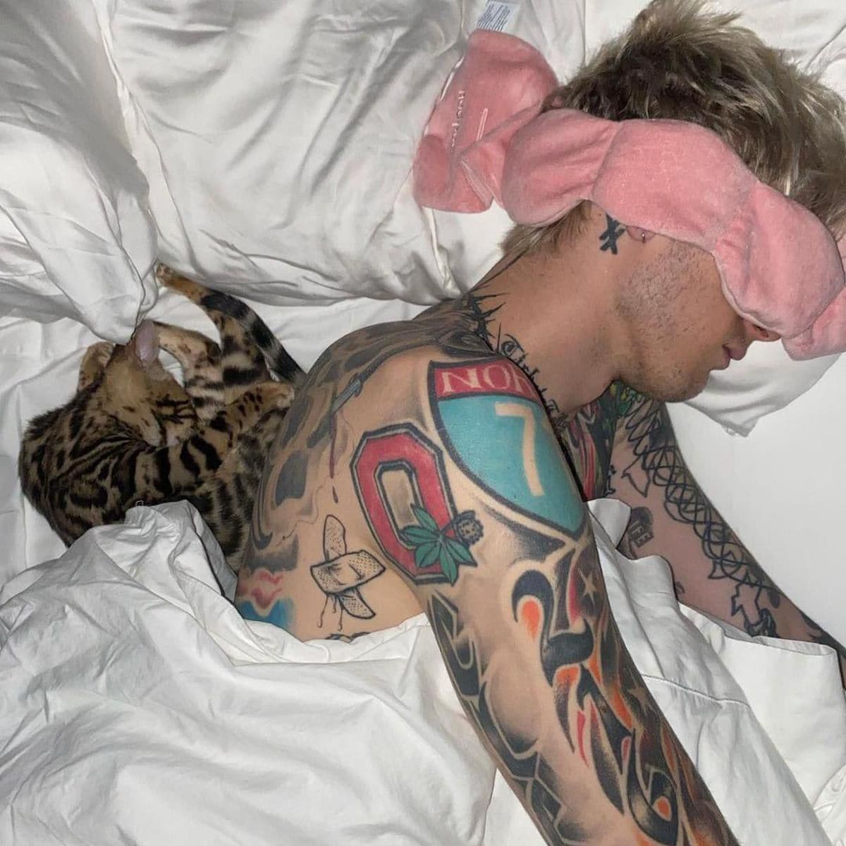 Megan Fox and MGK get a new cat