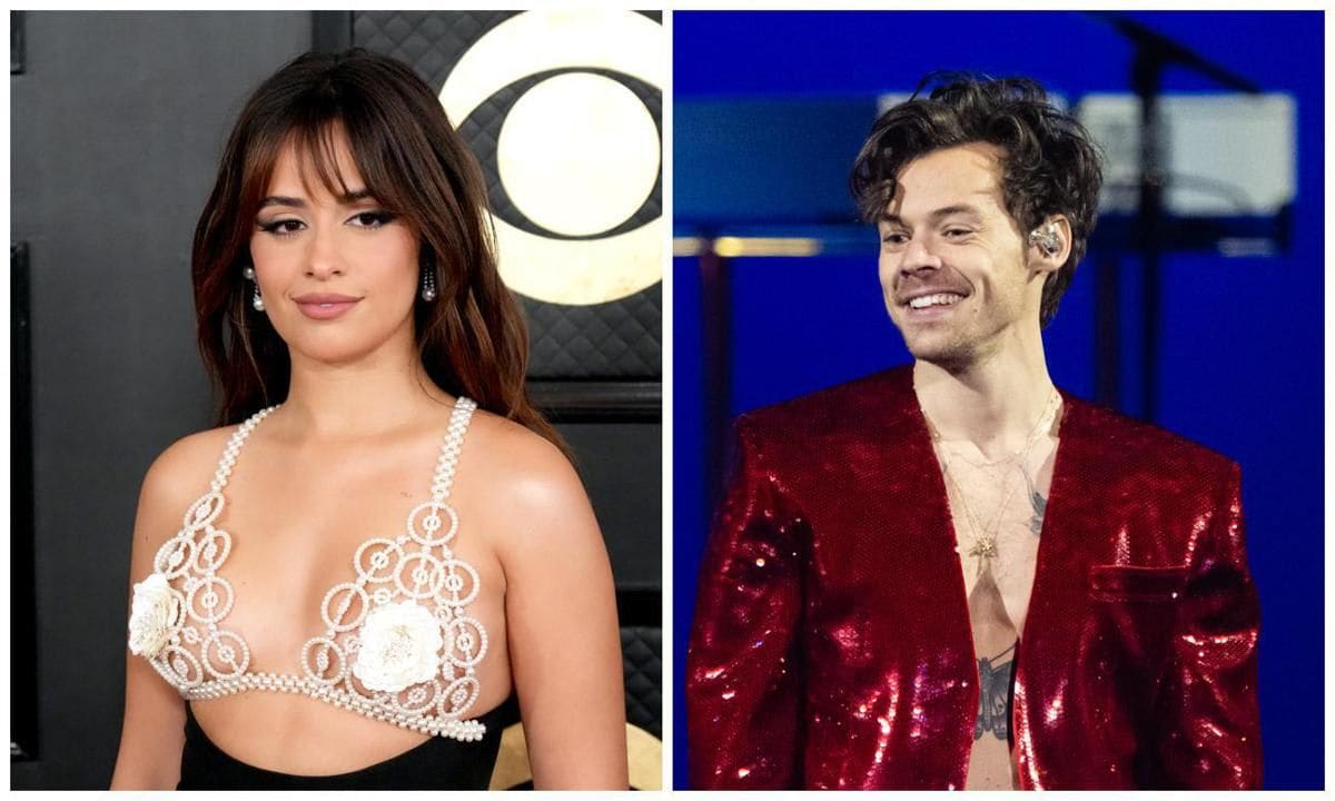 Camila Cabello and Harry Styles