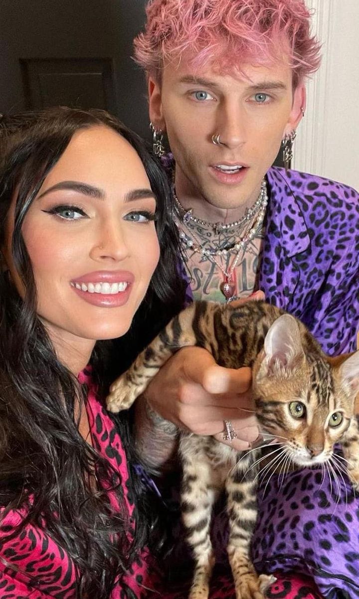 Megan Fox and MGK get a new cat