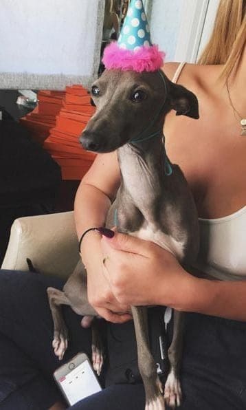 Kylie Jenner often shares photos with her pet dog Norman on Instagram.
<br>
Photo: Instagram/@kyliejenner