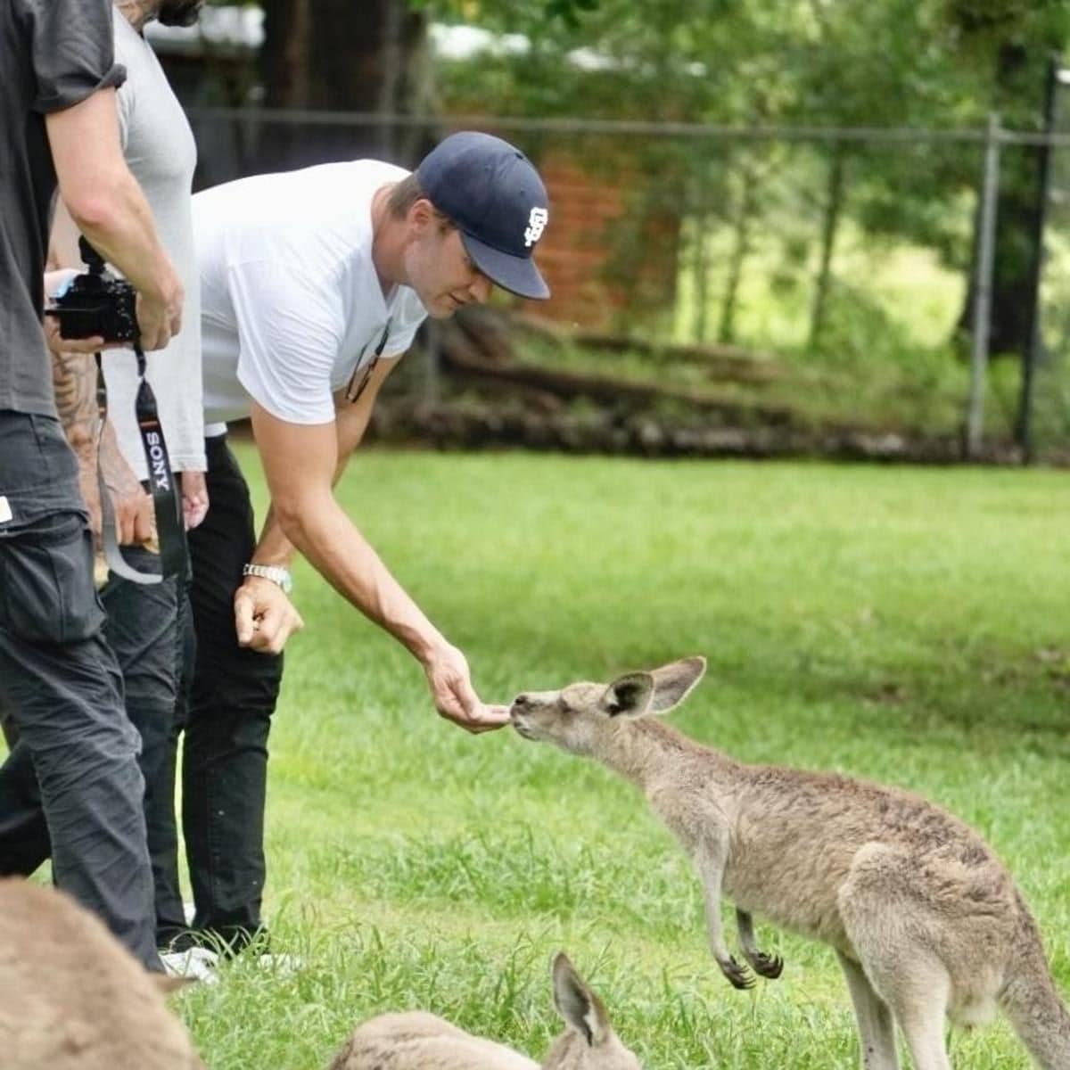 Tom Brady and a kangaroo