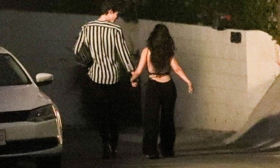 Shawn Mendes and Camila Cabello hold hands 