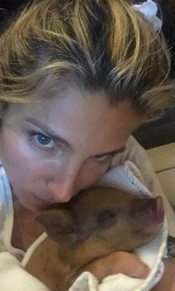 Elsa Patasky introduced the world to the newest addition of the Hemsworth clan, Tina the pig.
<br>
Photo: Instagram/@elsapatakyconfidential