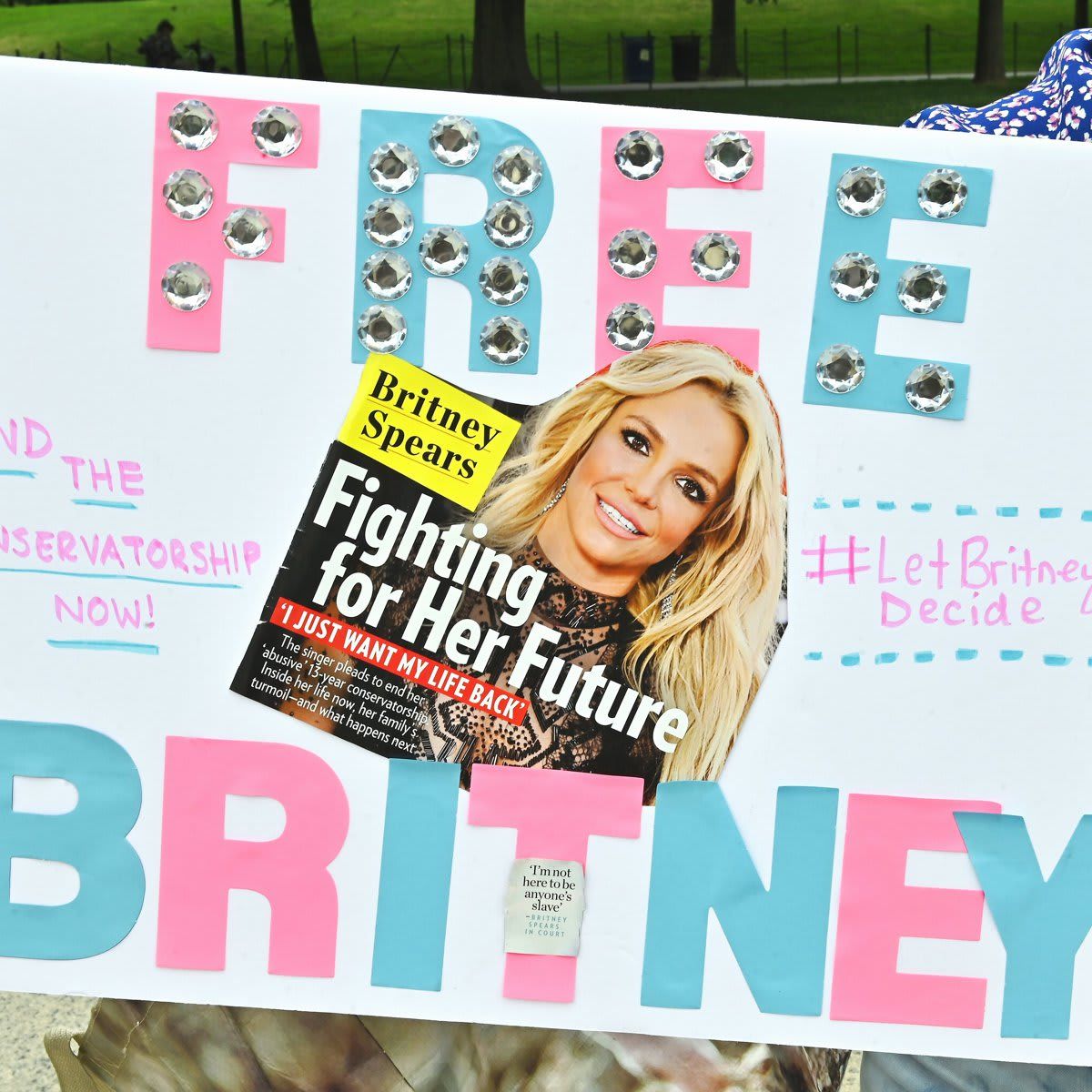 Free Britney Rally DC