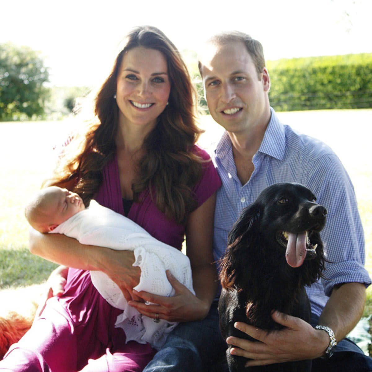 Lupo, el perro del príncipe William y Kate Middleton