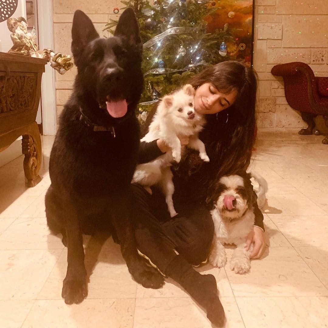 Camila Cabello poses with pets in front of Christmas tree