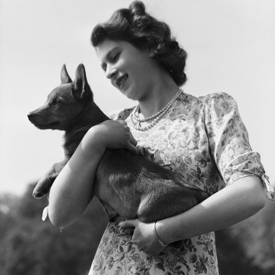 Then Princess Elizabeth was given her pet Susan on her 18th birthday