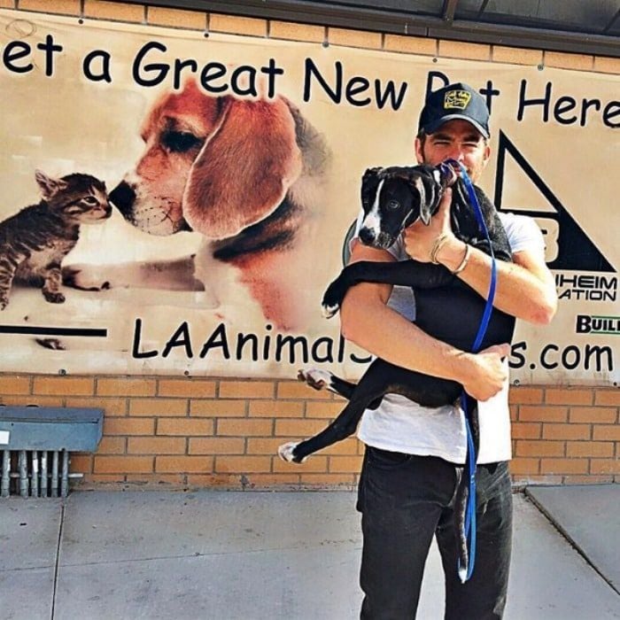 Chris Pine showed off his new best friend, who he proudly adopted from an animal shelter in L.A.
Photo: homedogla