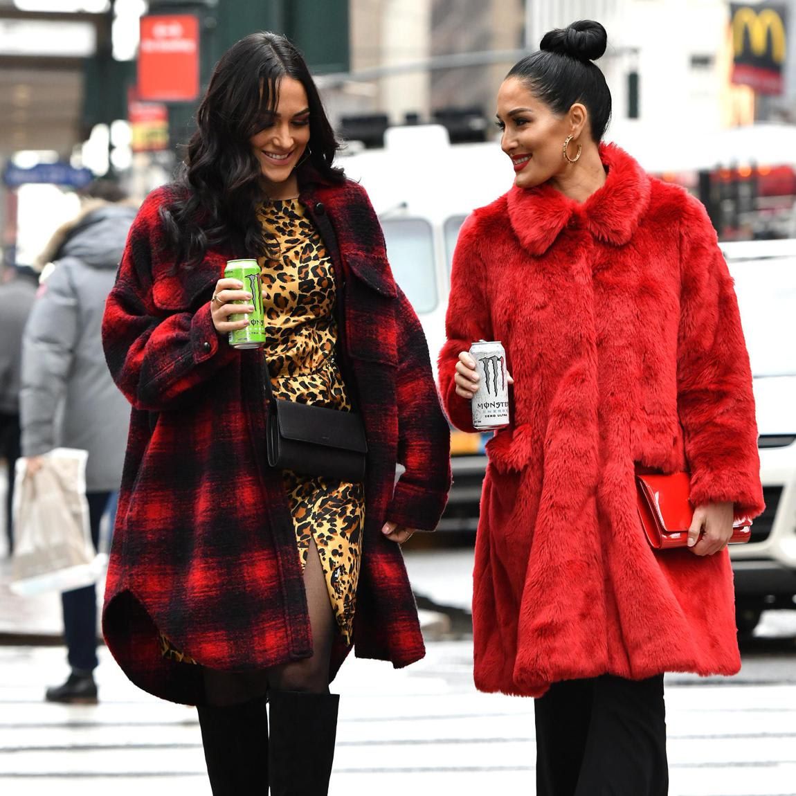 Nikki Bella and Brie Bella