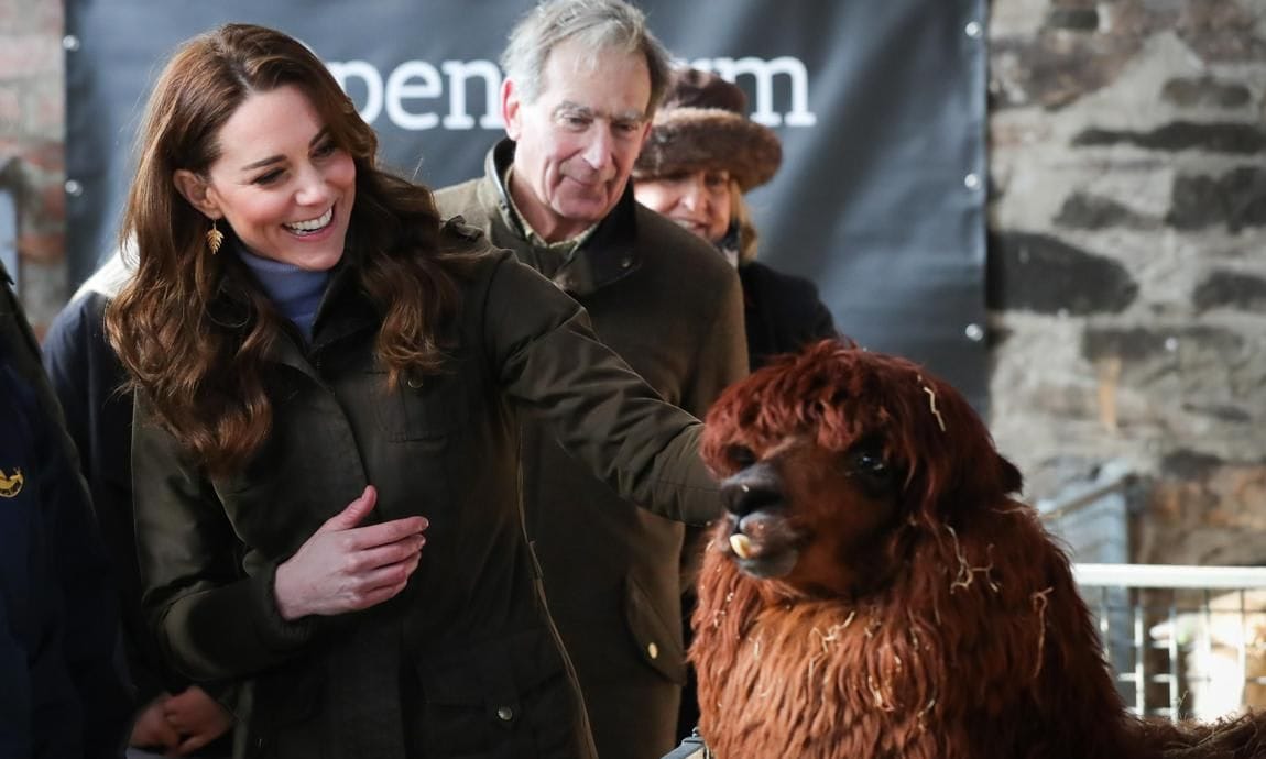 Kate Middleton held a snake for the first time during her visit to a farm in Northern Ireland