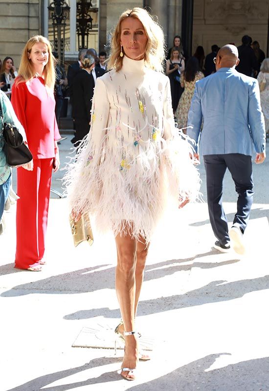 Celine Dion in feathered dress