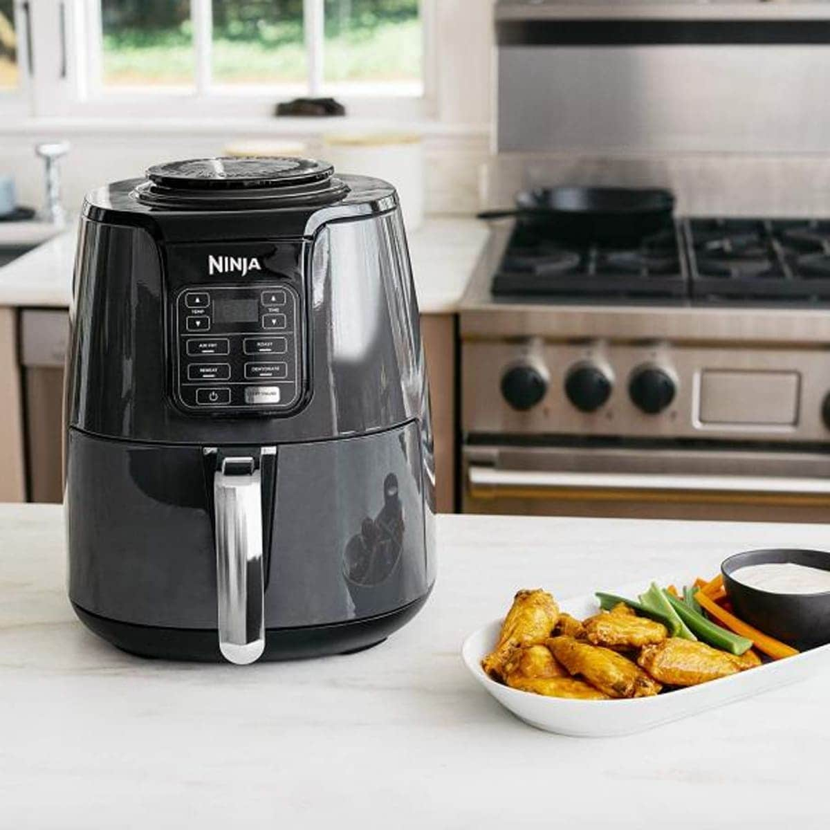 Ninja air fryer