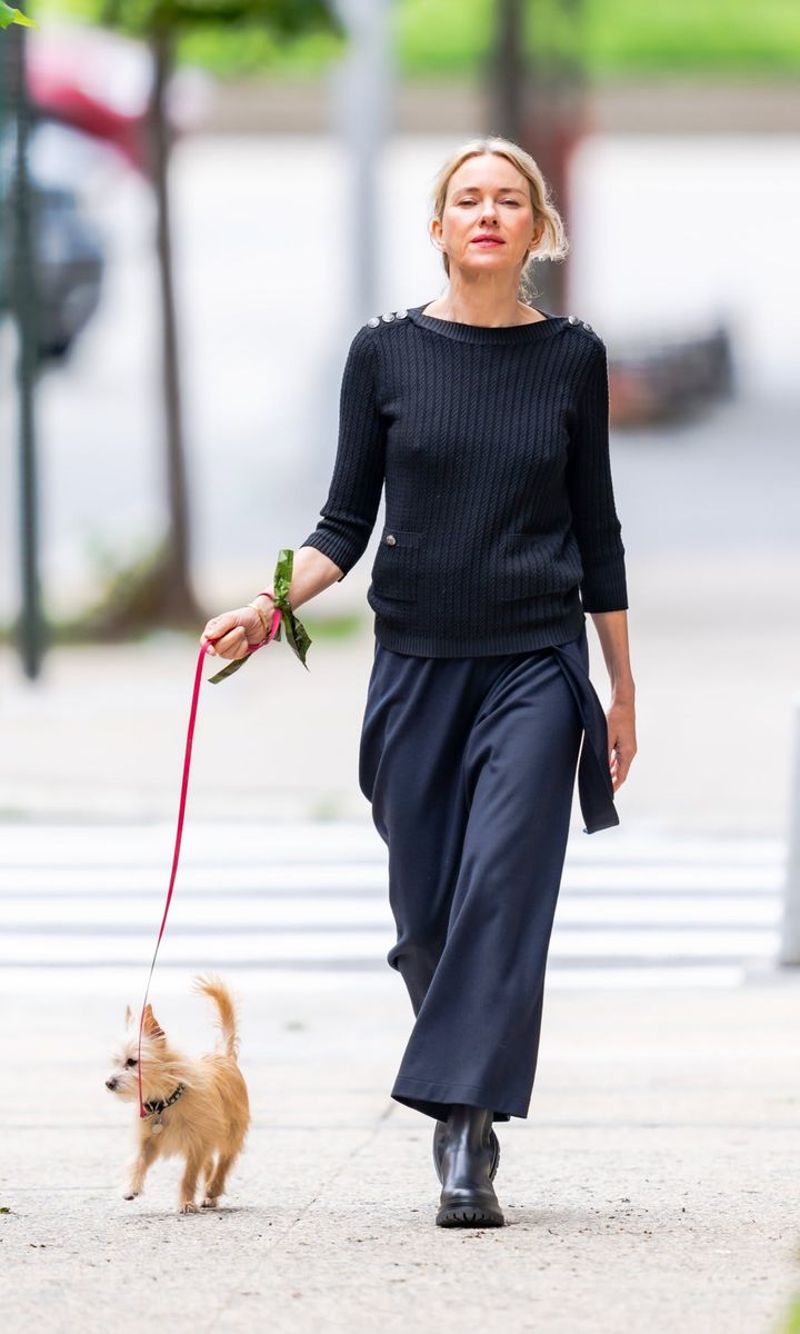 Naomi Watts Looks Stylish in Black and Blue while Walking her Dog