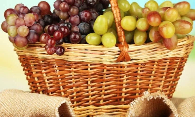 Basket of grapes