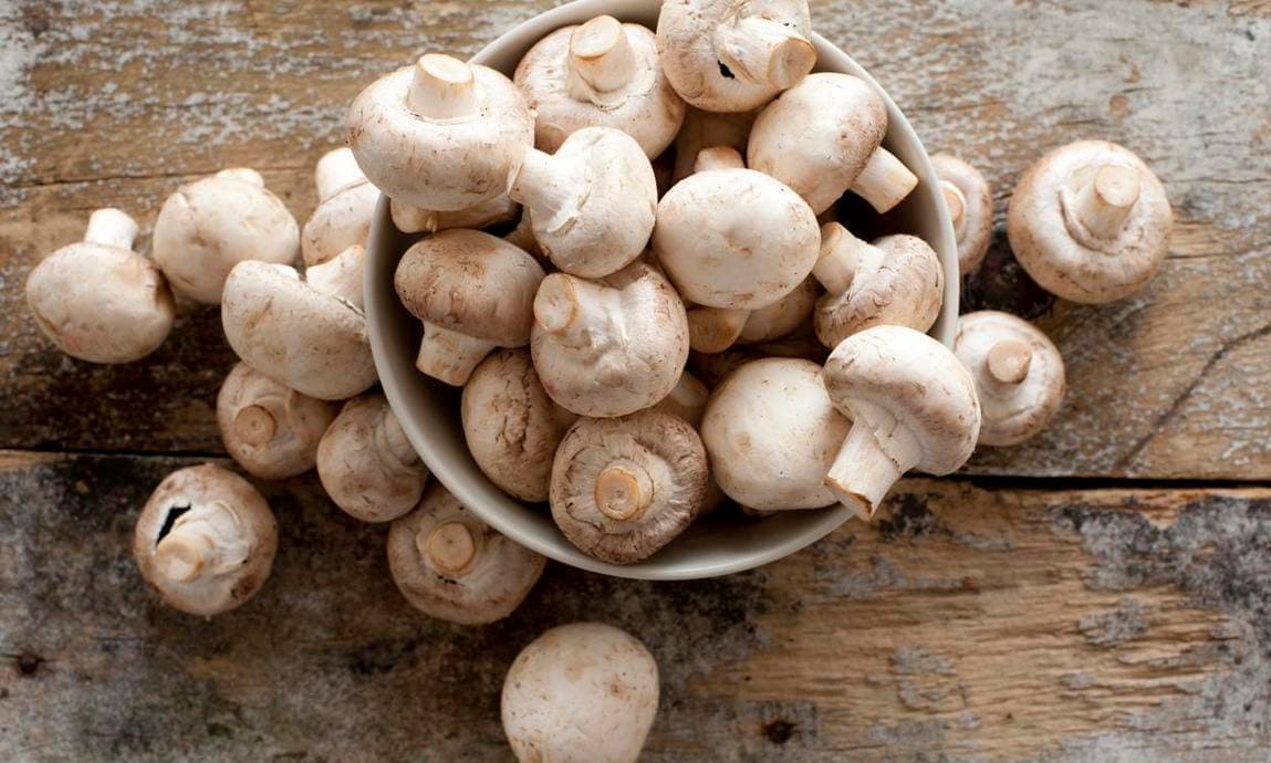 Fresh, whole, white mushrooms, or Agaricus, in a bowl on a countertop
