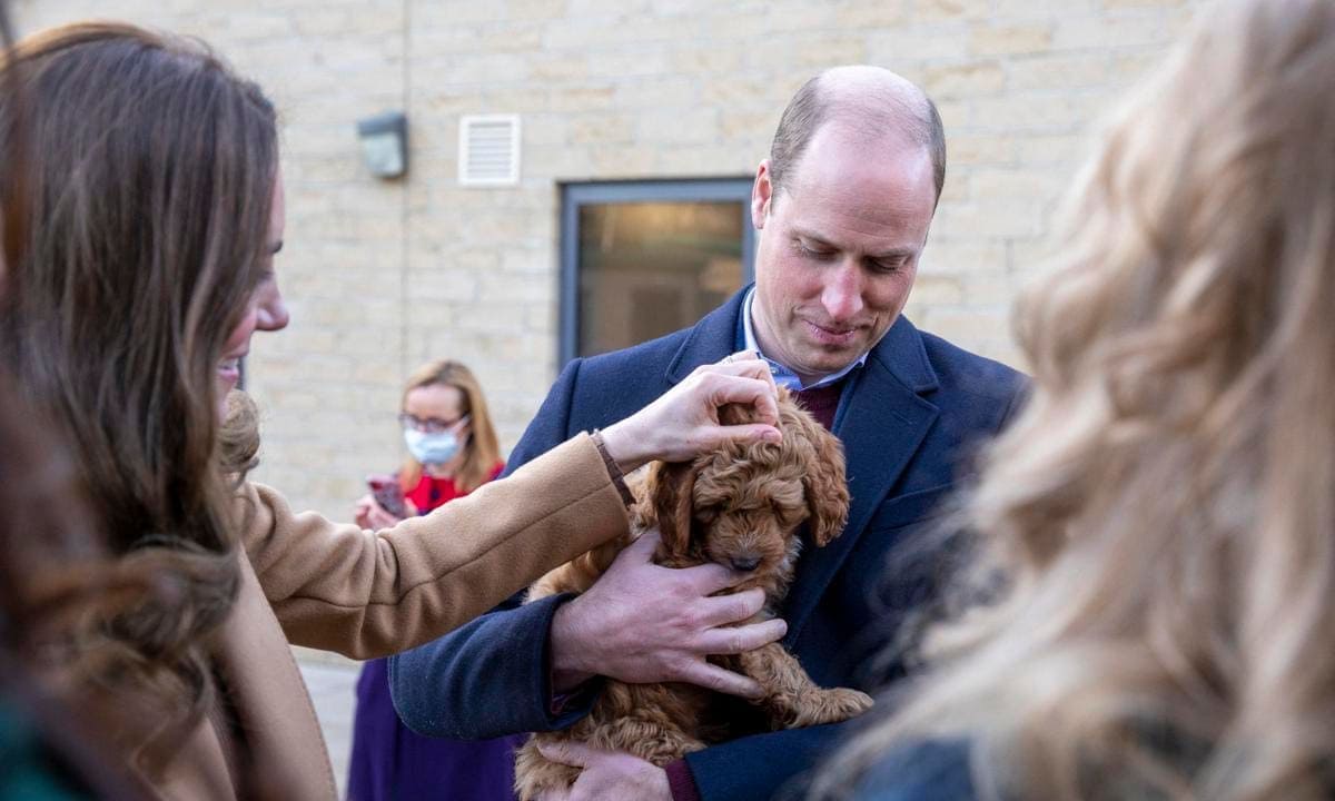 Britain's Prince William, Duke of Cambridge (C), watched by his wife Britain's Catherine, Duchess of Cambridge, (L), holds a therapy puppy, before unveiling it's name, Alfie, to members of staff during their visit to Clitheroe Community Hospital in north east England on January 20, 2022. - The puppy, funded through the hospital charity ELHT&Me using a grant from NHS Charities Together, will be used to support the wellbeing of staff and patients at the hospital. (Photo by James Glossop / POOL / AFP) (Photo by JAMES GLOSSOP/POOL/AFP via Getty Images)