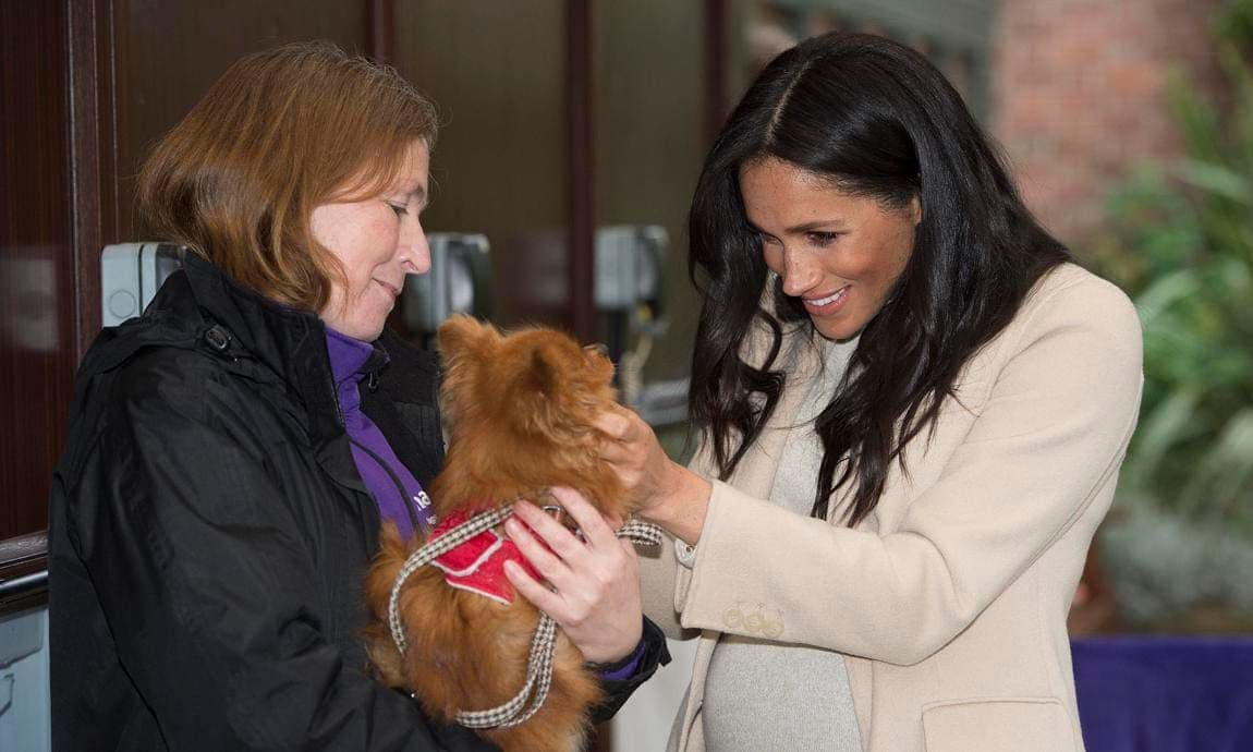 Meghan has been working with her patronage Mayhew during the pandemic