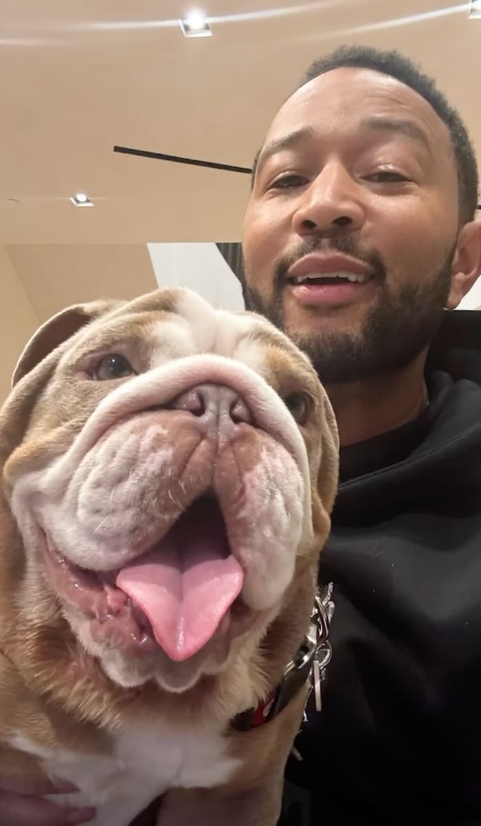 John Legend is dog dad again