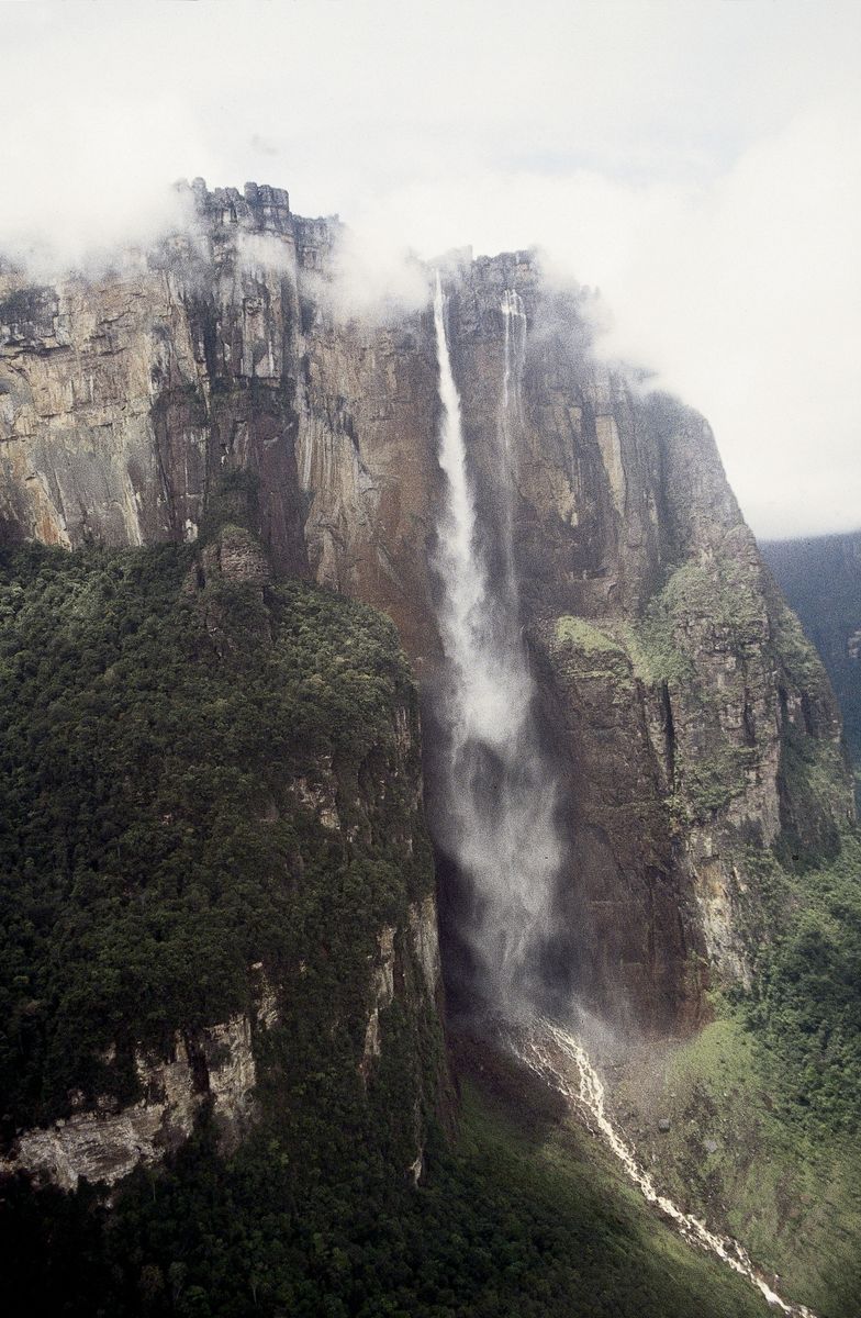 Angel Falls are located in Canaima, Venezuela