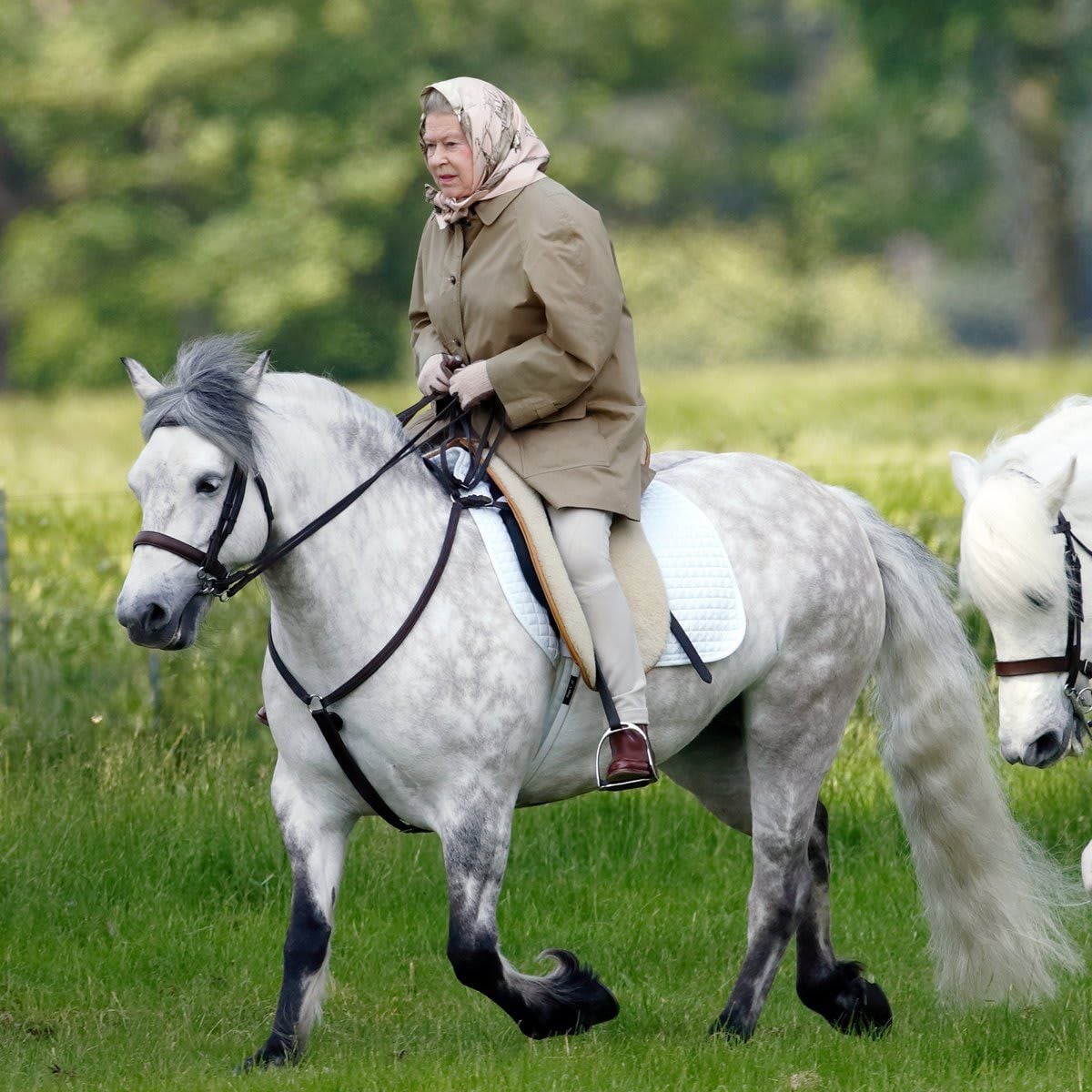 Queen Elizabeth is known for her love of horses