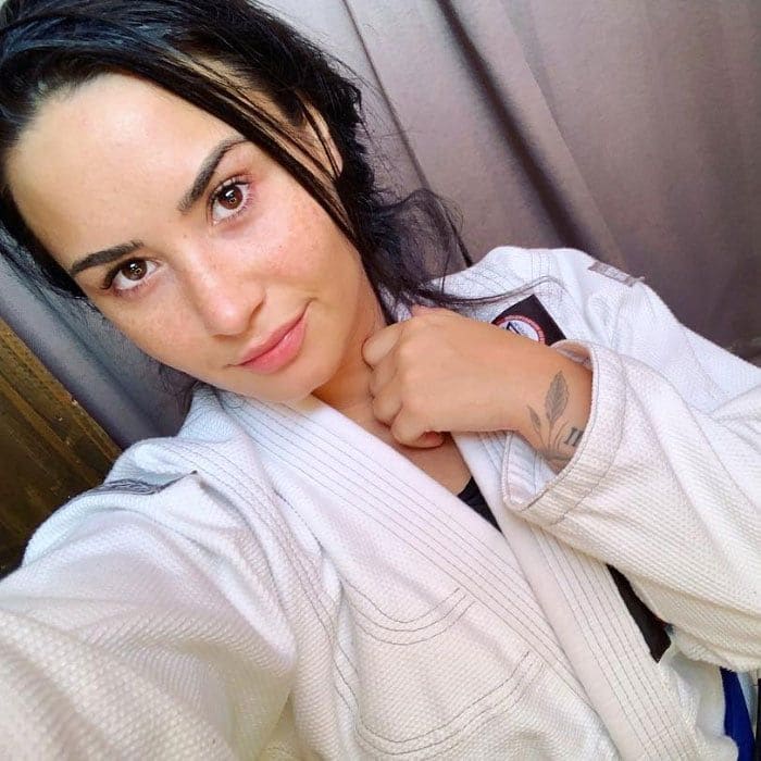 Demi Lovato martial arts 