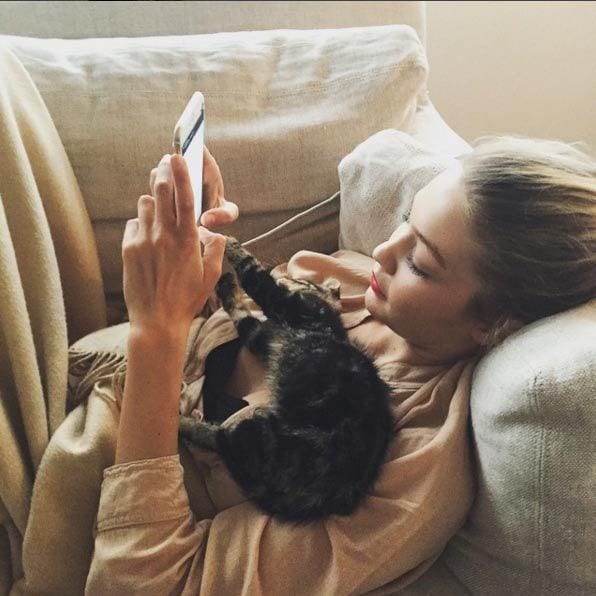 Gigi Hadid set up a personal Instagram profile for her cat Cleo earlier in the year, with the popular kitten clocking up over 12,000 followers.
<br>Photo: Instagram/@gigihadid