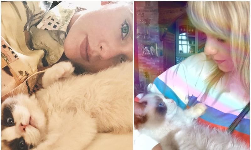 Taylor Swift's brother also loves her cats