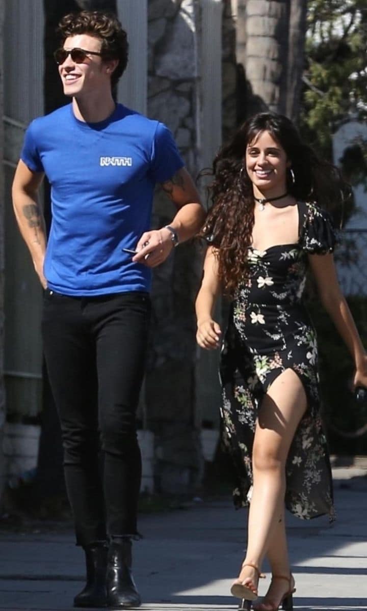 Camila Cabello, Shawn Mendes