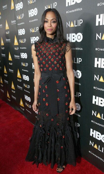 Zoe Saldana wore a Giambatista Valli dress to the NALIP Latino Media Awards where she accepted the Outstanding Achievement in Film Award from friend Vin Diesel.
Photo: Getty Images