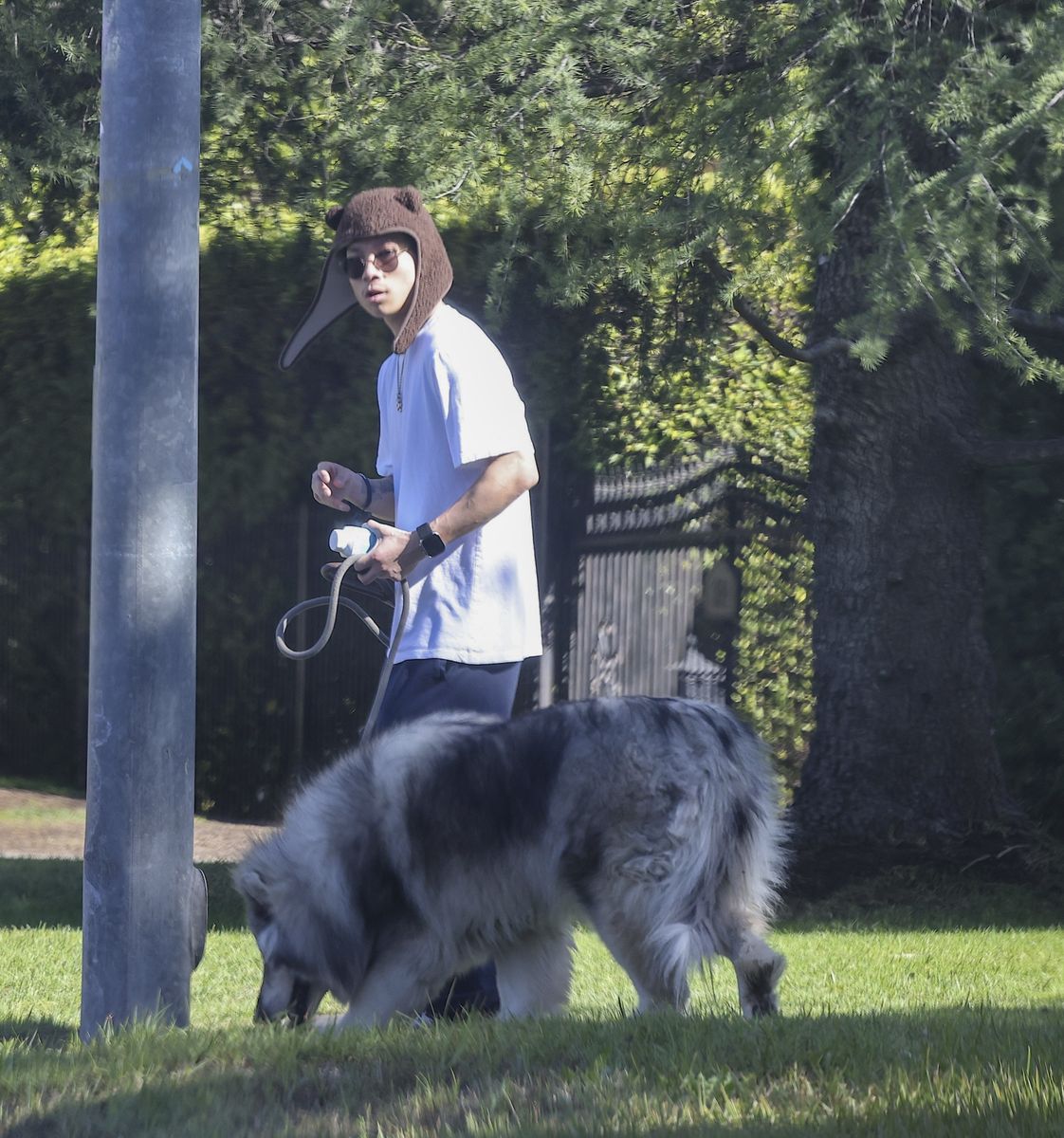 Pax Jolie-Pitt and his giant fluffy dog enjoy a stroll in LA