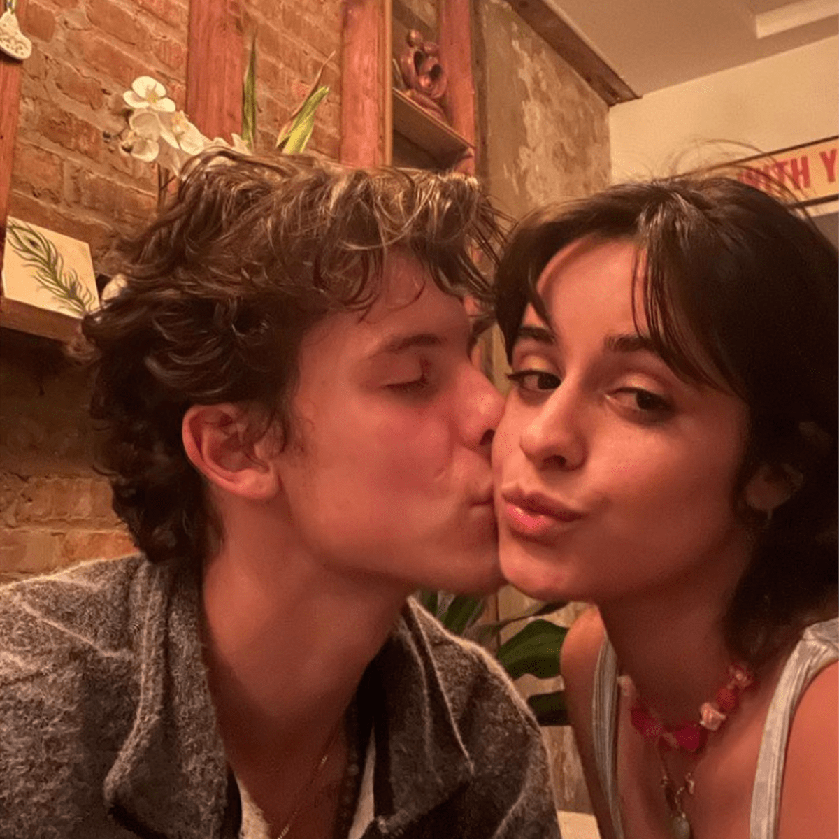 camila cabello and shawn mendes