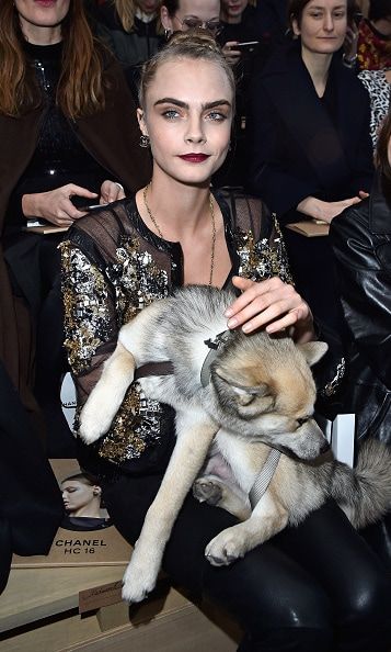 Cara Delevingne and her pup at Chanel.
<br>
Photo: Getty Images