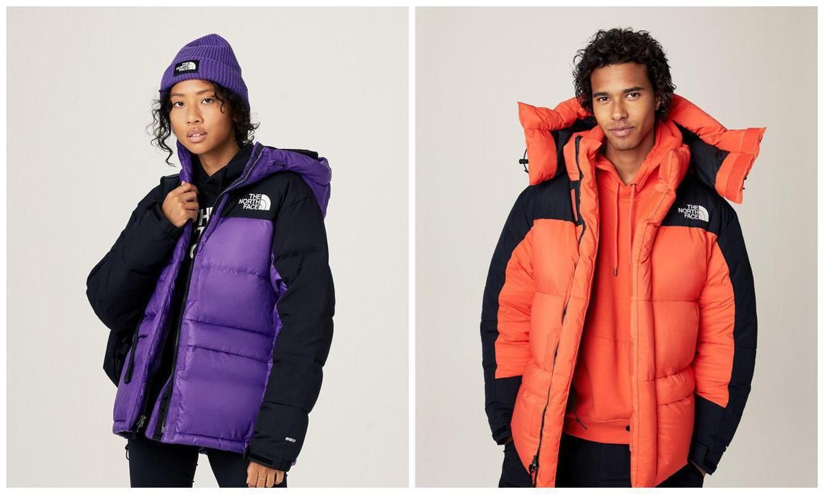 The north face sales