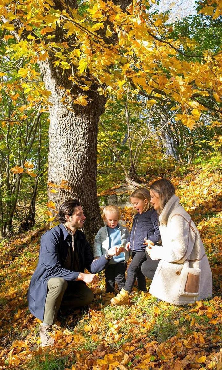 Prince Carl Philip and kids after King's announcement