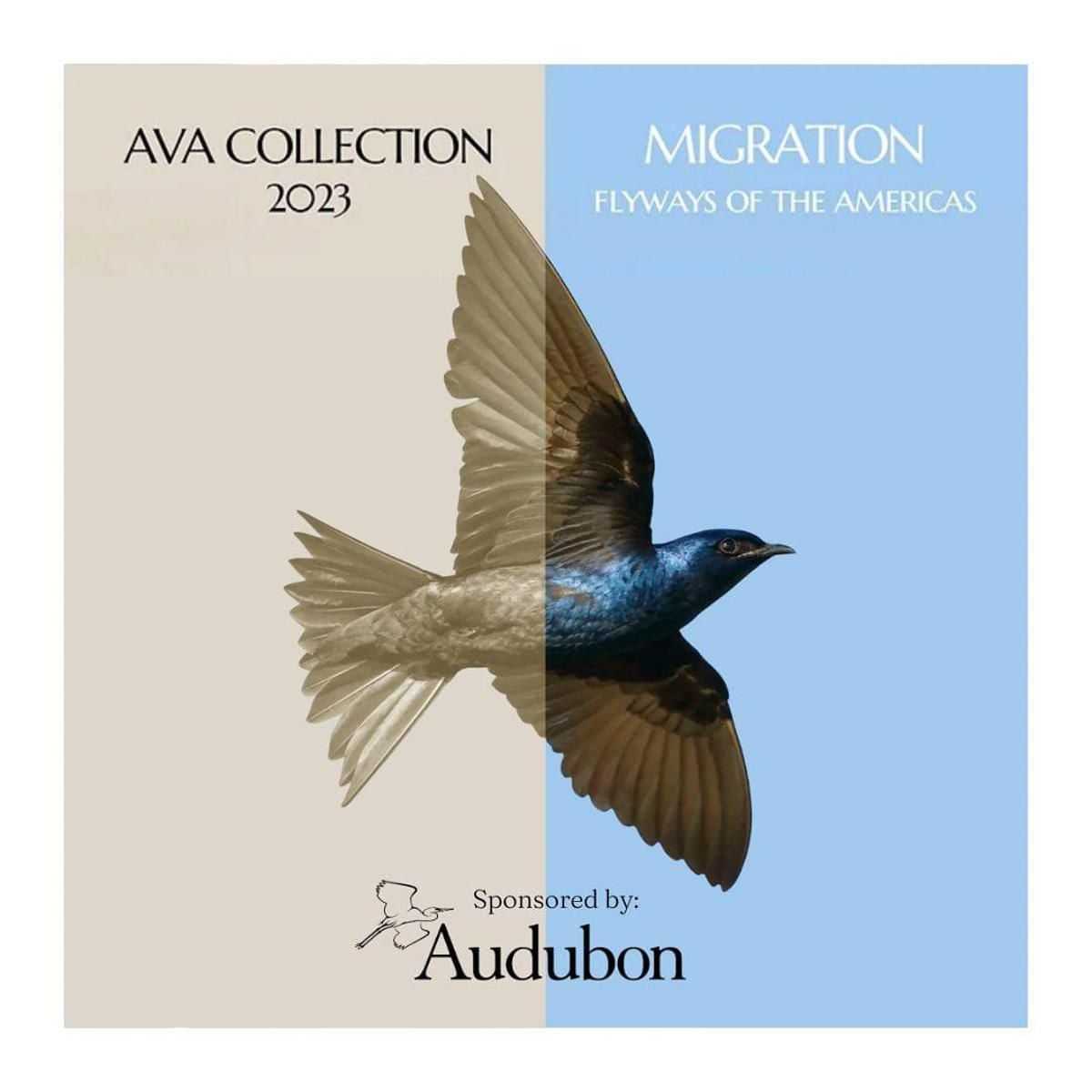 AVA Collection & Silent Auction 2023: “MIGRATION: Flyways of the Americas”