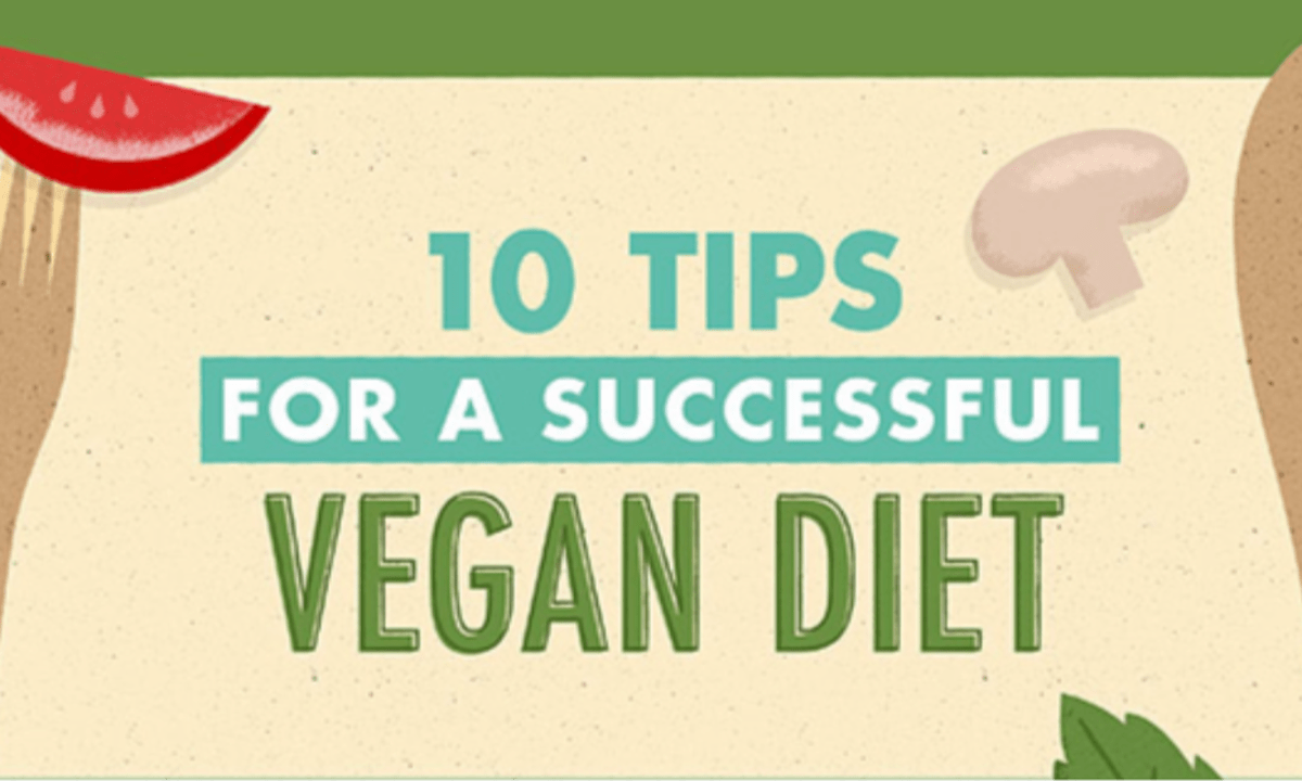 10 tips to adapt to a vegan diet