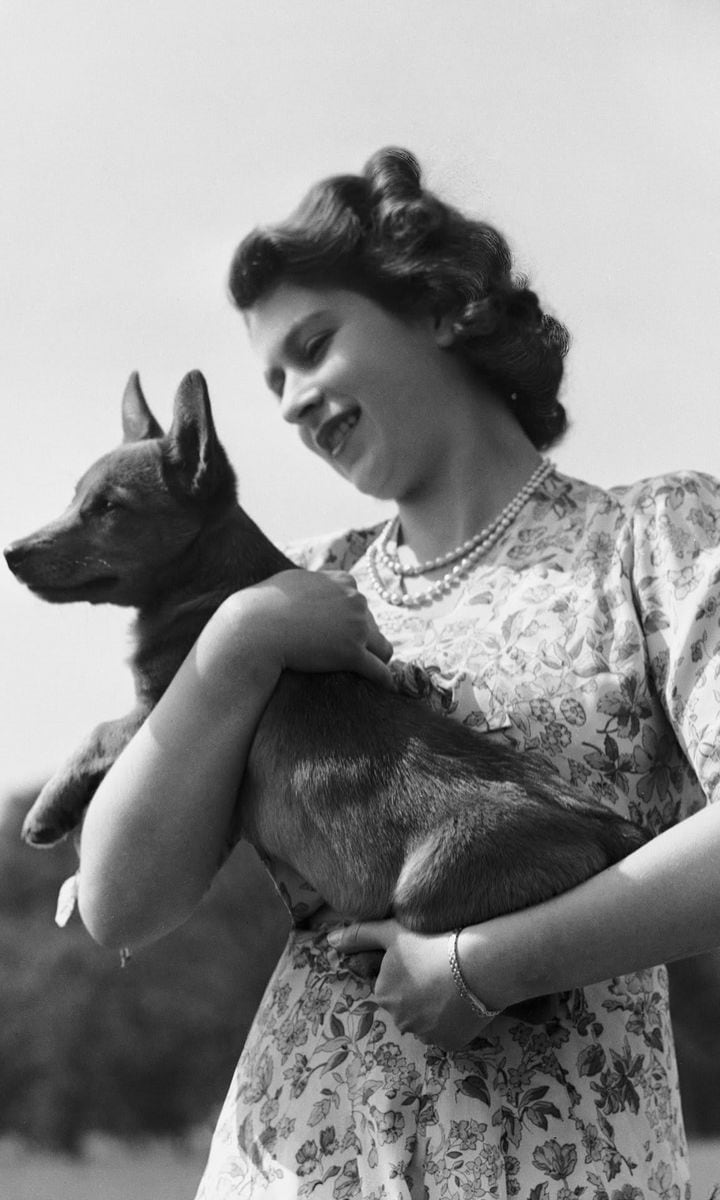 Queen Elizabeth was given a corgi named Susan for her 18th birthday