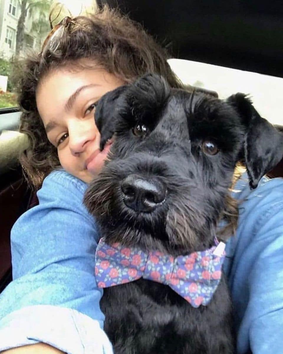 Zendaya's dog Noon